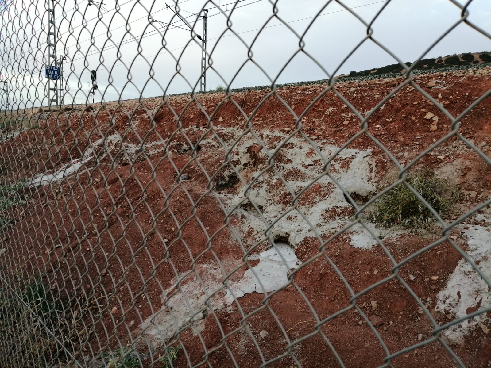 Cazadores de Jaén denuncian el tapado de madrigueras con cemento en los taludes de las líneas ferroviarias